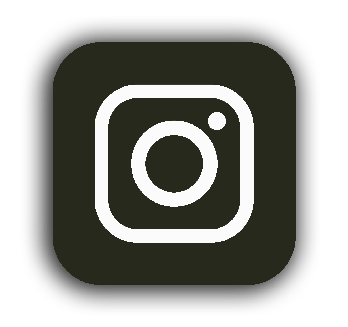 Instagram Icon